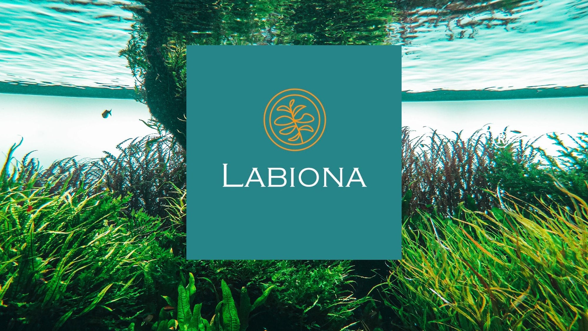 Labiona - Die Algenmarke
